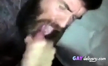 Sexy bearded guy sucks big hairy dick