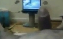 arab sex02.