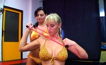 Busty blonde and brunette lesbian rubbing sex