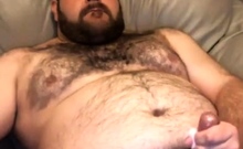 Chubby Bear Love